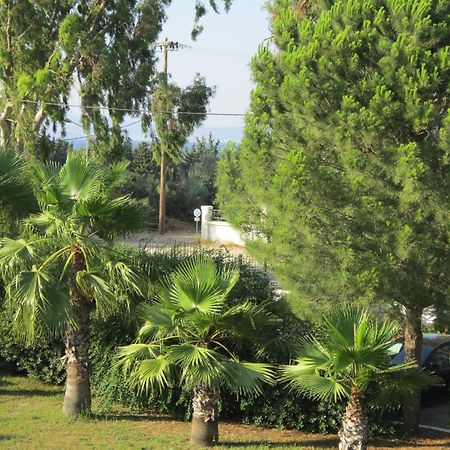 Apartments Seagull Агиос-Фокас Экстерьер фото