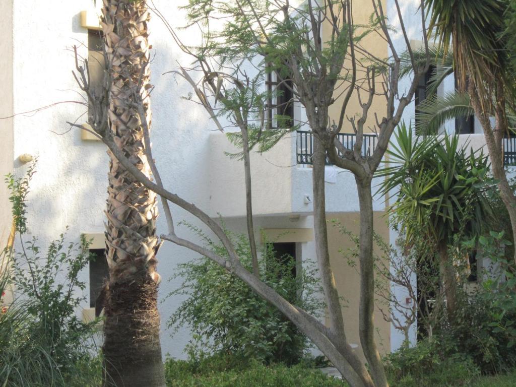 Apartments Seagull Агиос-Фокас Экстерьер фото